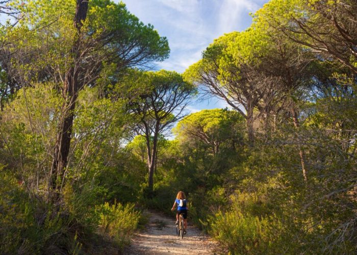 Riserva Naturale delle Bandite di Scarlino - Escursioni