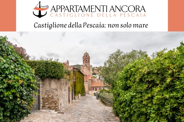 Appartamenti mare Castiglione della Pescaia - Villa Ancora